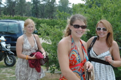 DSC_1461.JPG