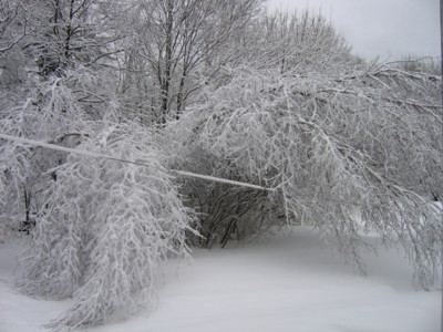 snow feb 10, 2005